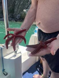 A person holds two vibrant red starfish aboard a boat, showcasing a unique marine encounter in a picturesque setting.