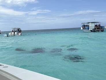 Guests interact with stingrays in the crystal-clear waters while enjoying a boat trip — a thrilling experience for adventure seekers.