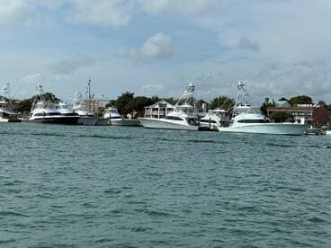 A collection of fishing yachts docked at the marina, showcasing their sleek designs against a picturesque waterfront backdrop.