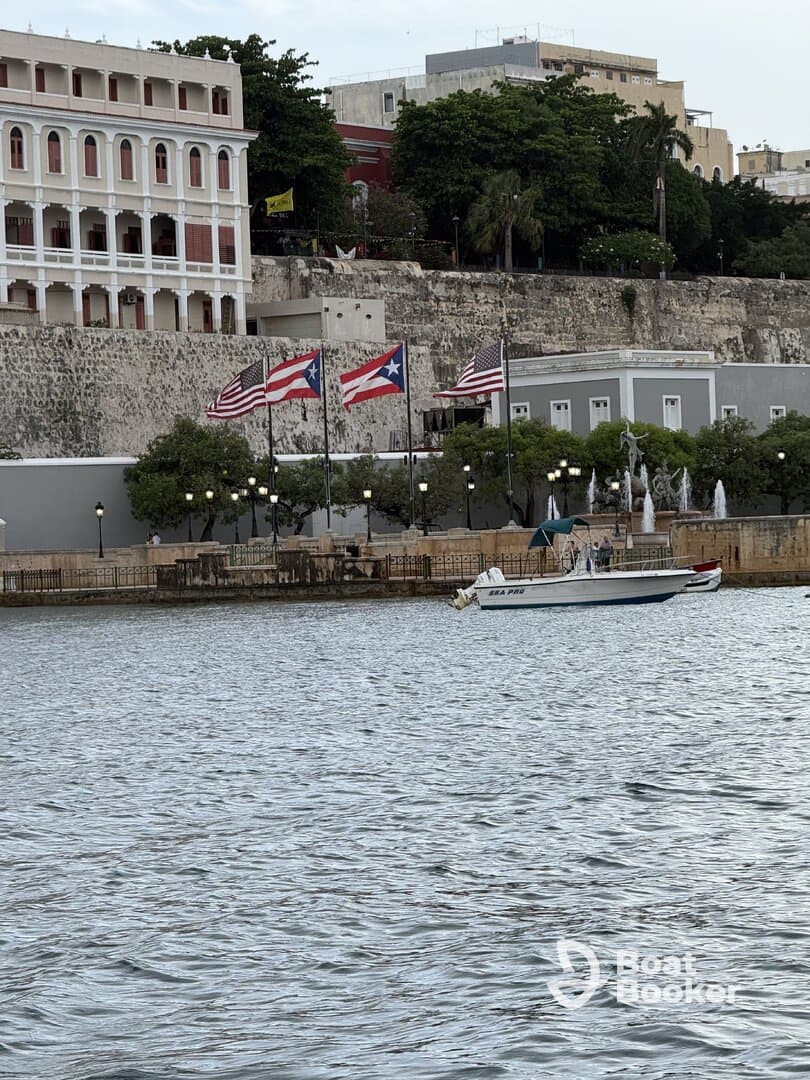 A speedboat named 'SEA PIG' is docked near a scenic waterfront, showcasing the vibrant flags of Puerto Rico and the United States against a backdrop of historic architecture.
