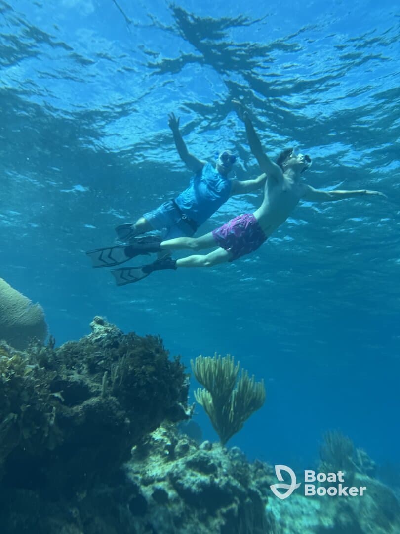 Two snorkelers explore vibrant underwater scenery, showcasing the beauty of marine life and coral formations — a perfect adventure for diving enthusiasts.