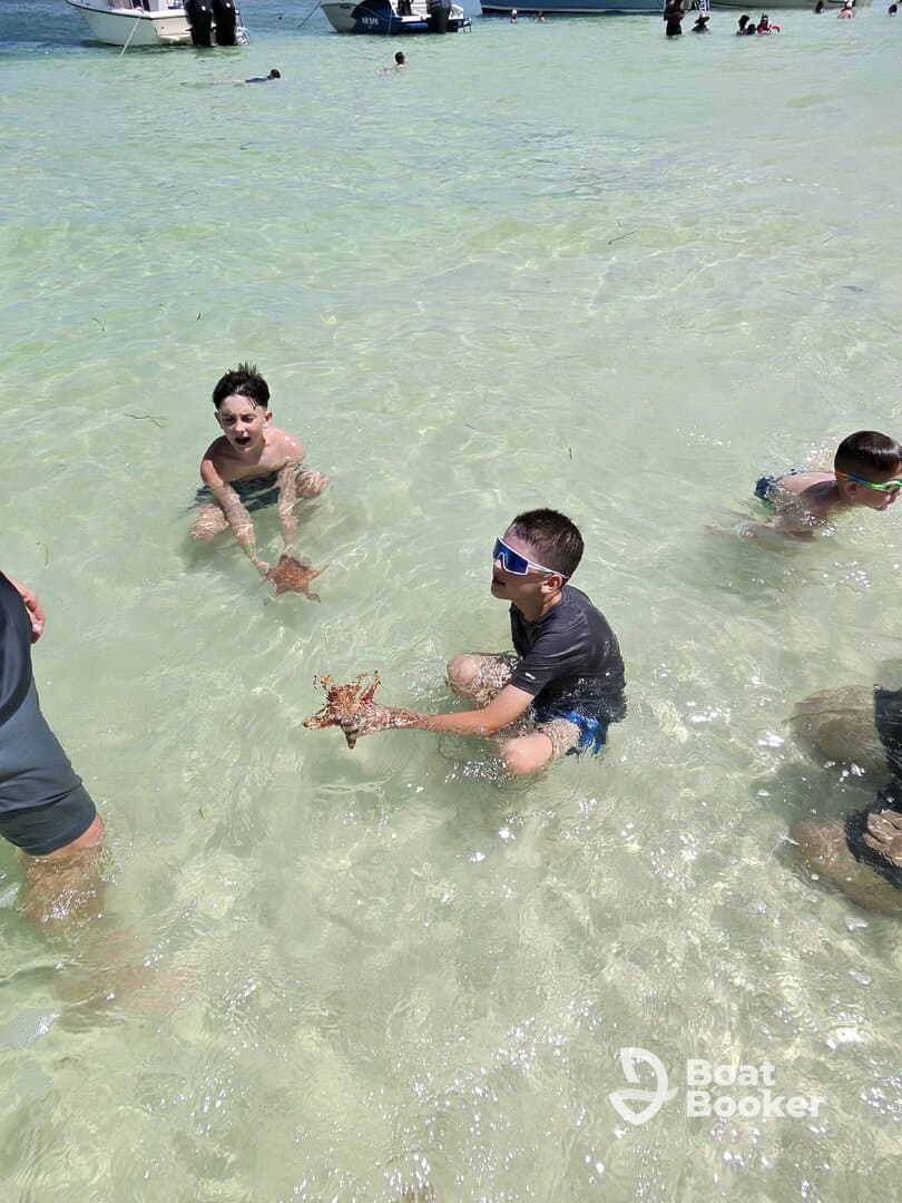 Children enjoy a fun day in the shallow waters, interacting with a starfish — a memorable wildlife experience perfect for family outings.