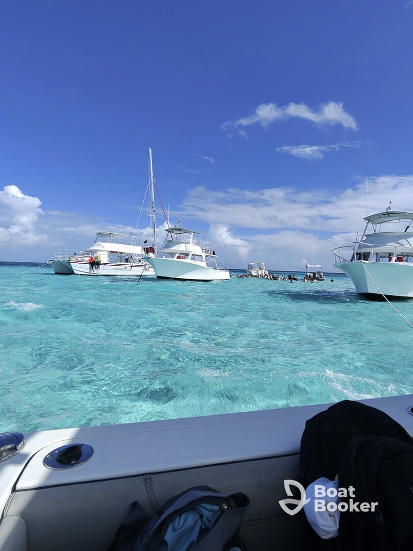 A vibrant scene of multiple boats anchored in crystal-clear turquoise waters, showcasing a lively atmosphere perfect for group outings and water activities.