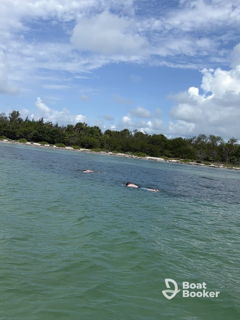 Two individuals enjoy a refreshing swim in clear waters, surrounded by lush greenery — a perfect scene for snorkeling adventures and beach outings.