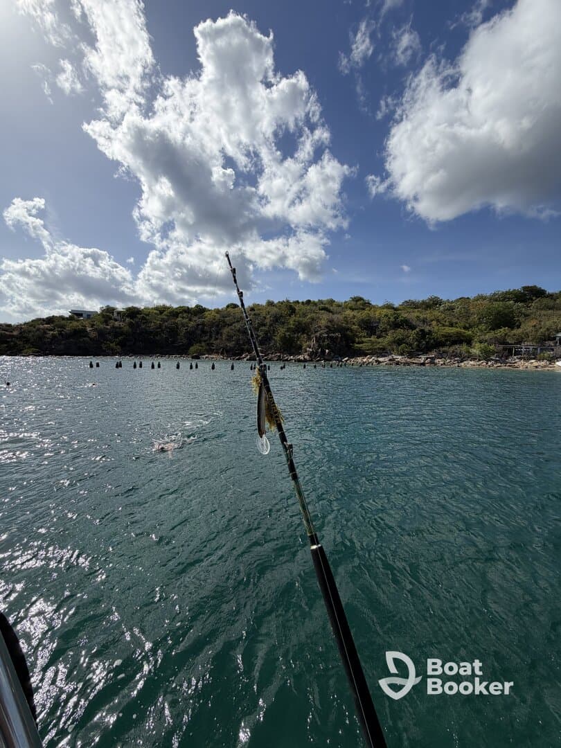 A fishing rod with a catch is prominently displayed while a swimmer enjoys the clear waters nearby, showcasing a perfect day of fishing and fun in the sun.