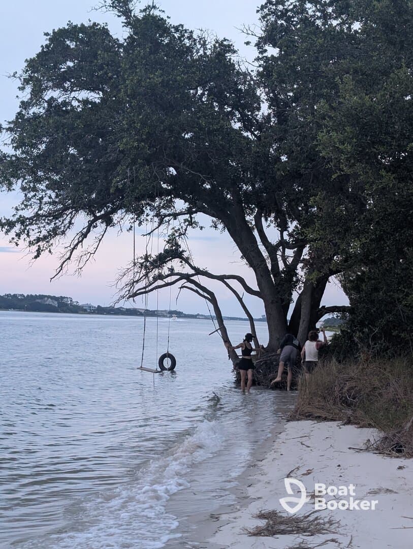 A group enjoys a playful moment by the water, swinging from a tire swing under a tree on the beach — a perfect setting for summer fun and relaxation.