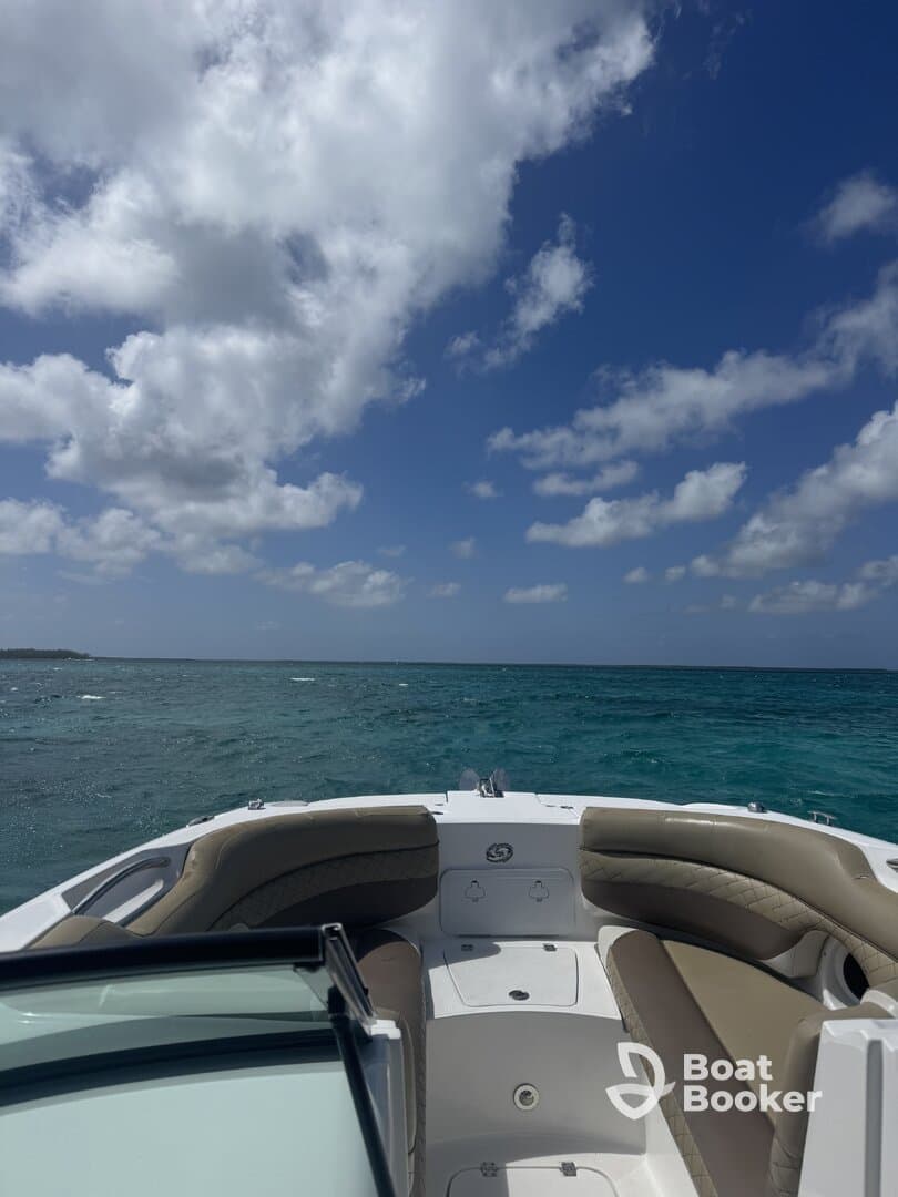 A view of the comfortable seating area inside a boat, showcasing a stylish helm and inviting atmosphere for a day on the water.
