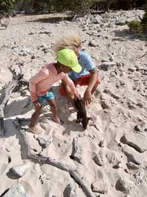 A child interacts with a small pig on a sandy beach, showcasing a delightful moment of human-animal interaction in a tropical setting.