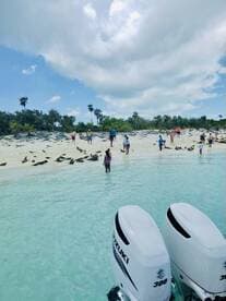 A lively group explores a beautiful beach while interacting with turtles in the shallow waters — a perfect day for wildlife encounters and beach fun.