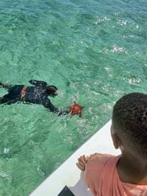A child watches in awe as a person interacts with a starfish in crystal-clear waters, showcasing a memorable wildlife experience in a tropical setting.