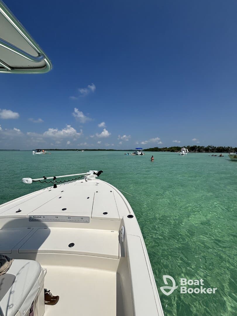 A scenic view from the bow of a boat, showcasing clear turquoise waters and people enjoying the sun and swimming — perfect for a day of fun on the water.