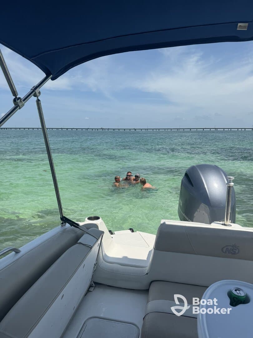 A lively group enjoys a sandbar stop, swimming in clear waters while the pontoon boat provides a perfect backdrop for fun in the sun.
