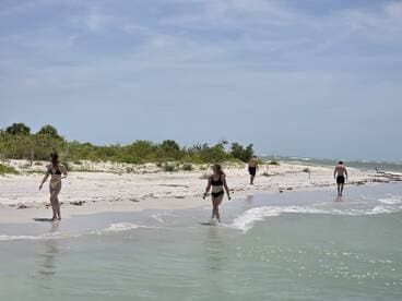 A group of friends enjoys a sunny day at the beach, walking along the shore and wading in the gentle waves — an ideal setting for relaxation and fun in the sun.