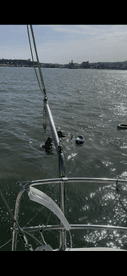 Two individuals enjoy a refreshing swim in the water, with a boat visible in the foreground — a perfect scene for summer fun on the water.