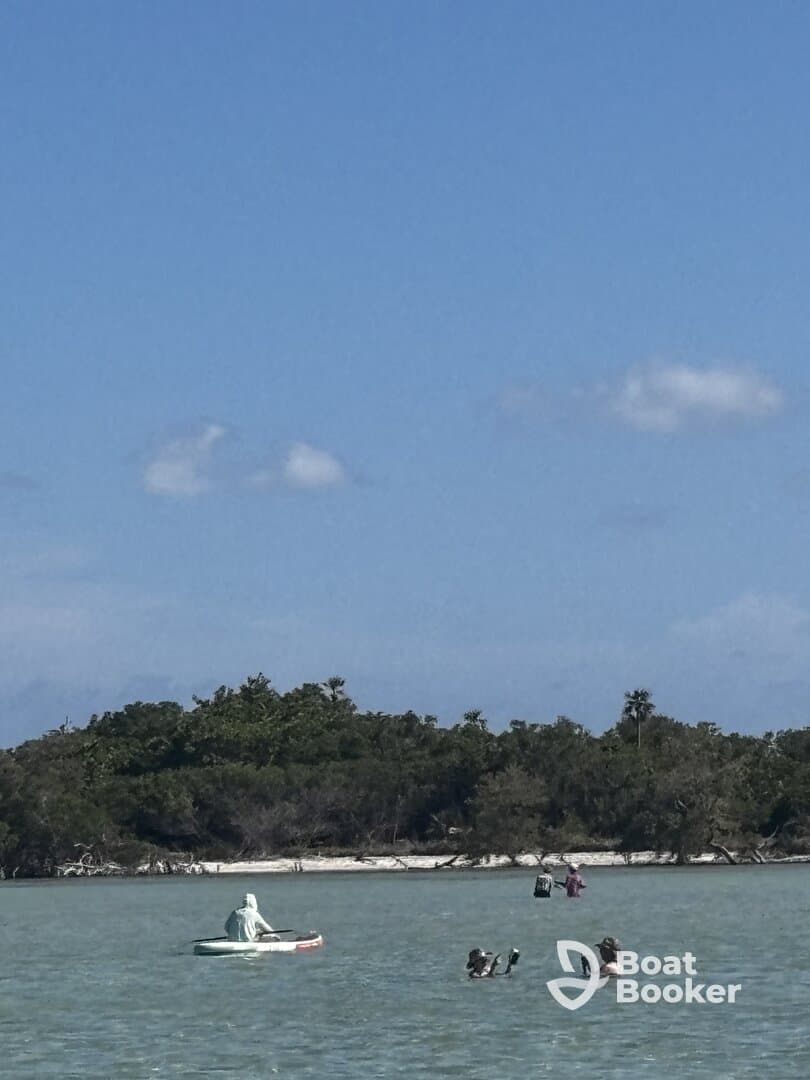A serene scene featuring a kayaker exploring the waters near an island, with wildlife visible in the background — perfect for nature lovers and adventure seekers.