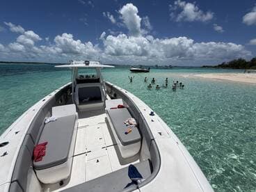 A lively group enjoys a sandbar stop, swimming in crystal-clear waters while the boat provides a perfect backdrop for a fun day at the beach.