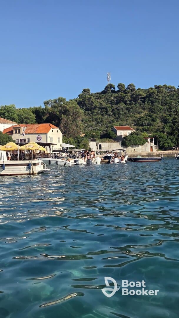 A vibrant harbor scene with multiple boats and people enjoying the sunny day, showcasing the beauty of coastal life.