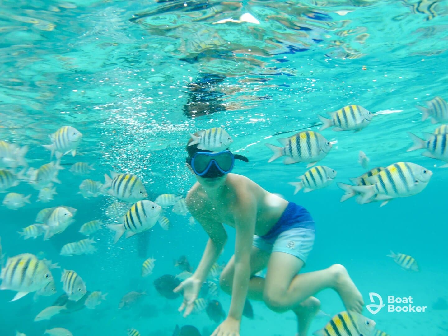 A child snorkels among vibrant schools of fish in crystal-clear waters, showcasing a captivating underwater wildlife experience.
