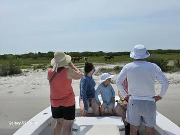 A group of guests on a boat observes wild horses along the shoreline, capturing a memorable moment during their coastal adventure.