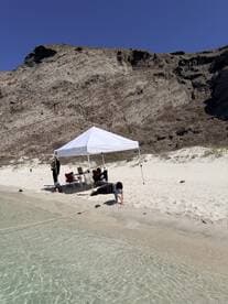 A family enjoys a sunny day at the beach under a tent, with children playing by the water's edge — perfect for a relaxing day of fun and exploration.