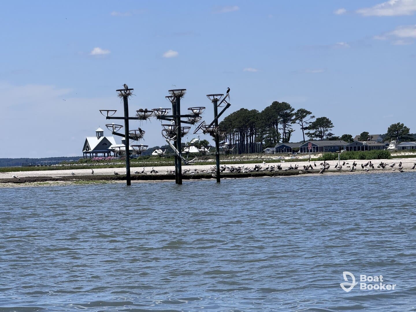 A picturesque view of a coastal landscape featuring nesting birds and a charming beach house, perfect for nature lovers and scenic boat tours.