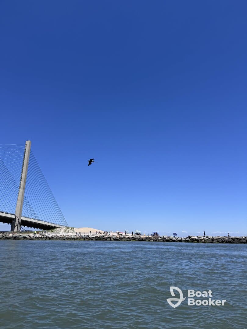 A scenic view featuring a bridge and beachgoers along the shore, with a bird soaring overhead — a perfect representation of a vibrant day by the water.