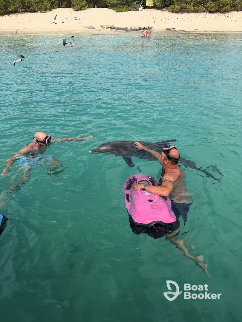 Two snorkelers interact with dolphins in crystal-clear waters, creating an unforgettable wildlife experience in a tropical paradise.