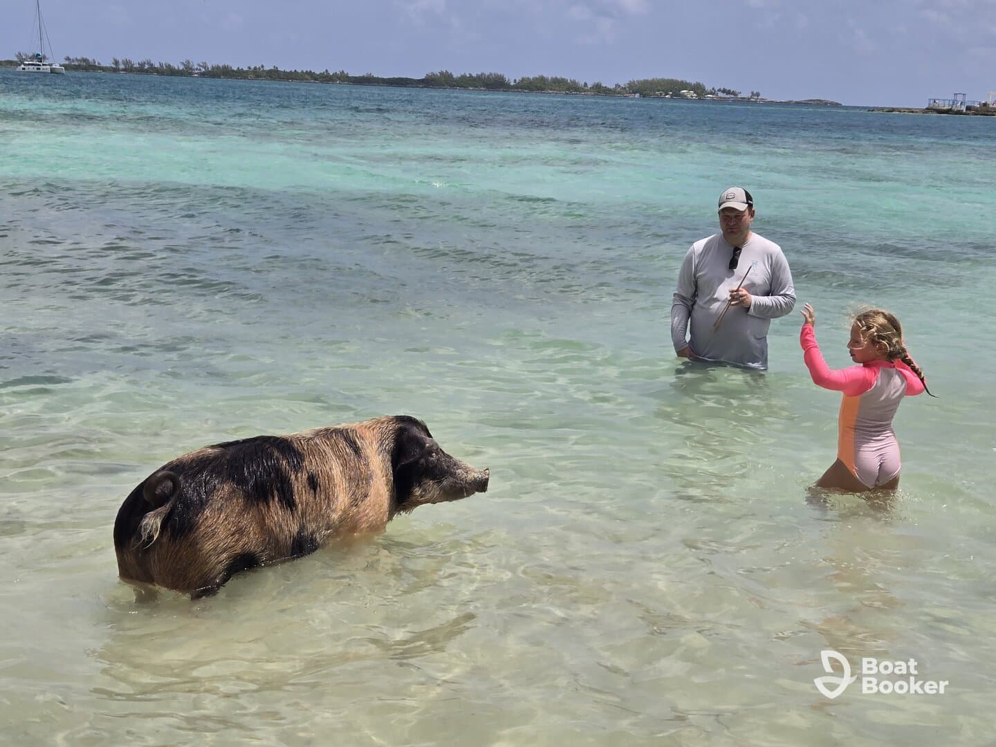 A child interacts with a swimming pig in shallow waters, creating a memorable wildlife experience in the Bahamas.