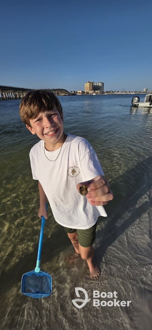 A young boy proudly holds a shell while wading in shallow waters, showcasing a fun and adventurous day by the beach.