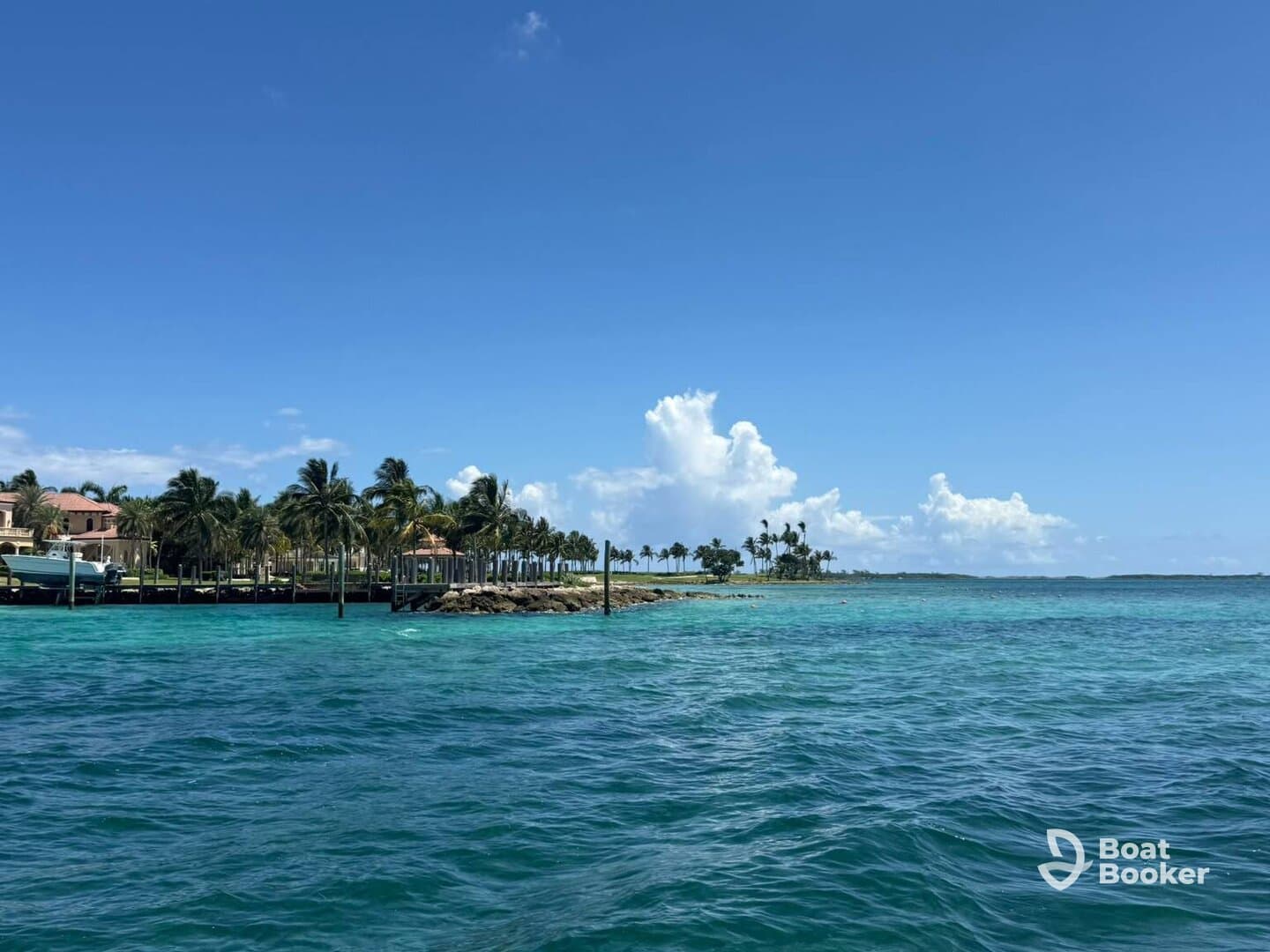 A picturesque view of a tropical coastline with palm trees and clear turquoise waters, perfect for showcasing the beauty of island destinations.