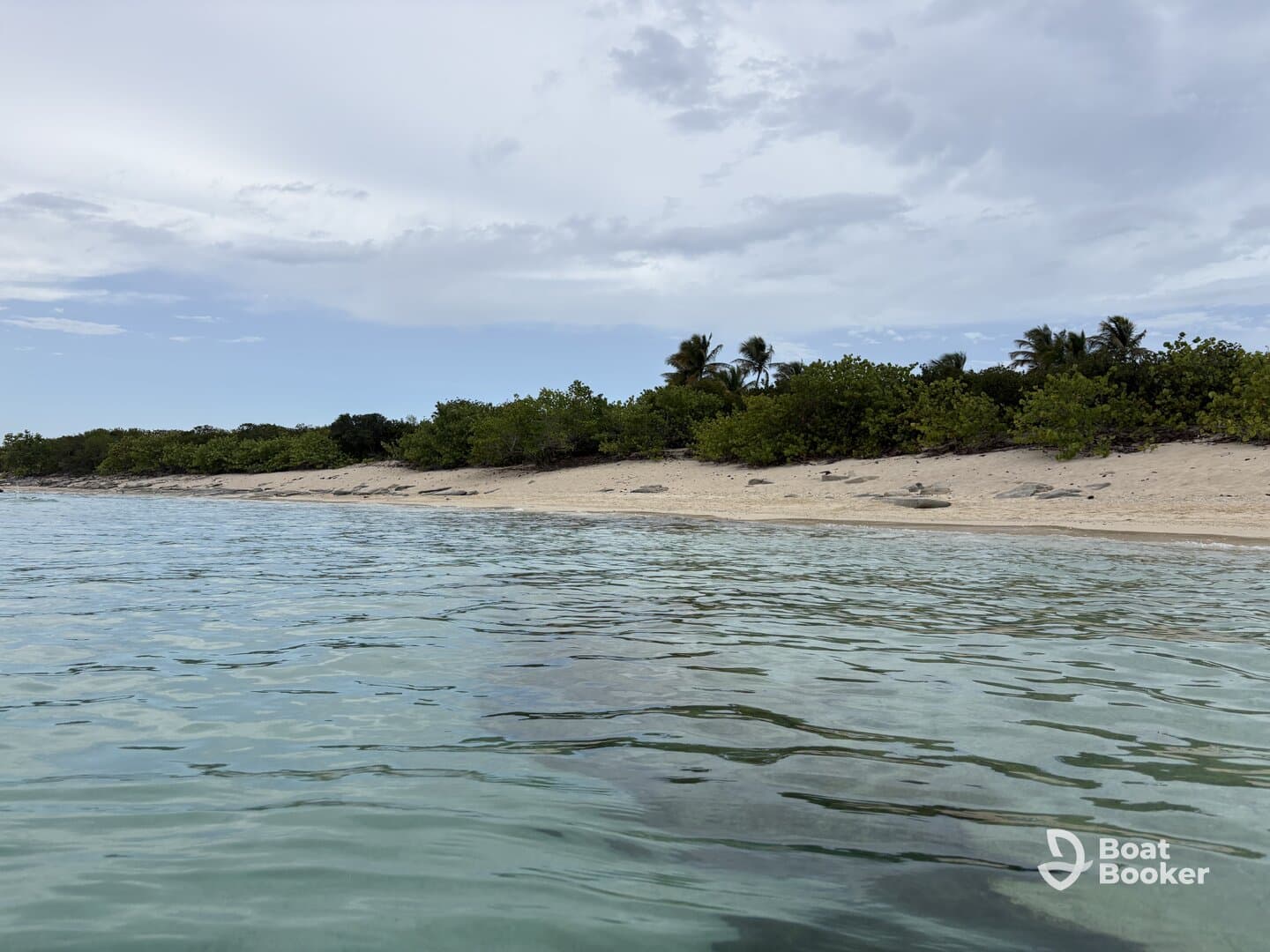 A serene view of a sandy beach lined with lush greenery, showcasing the tranquil beauty of the coastline — perfect for relaxation and exploration.