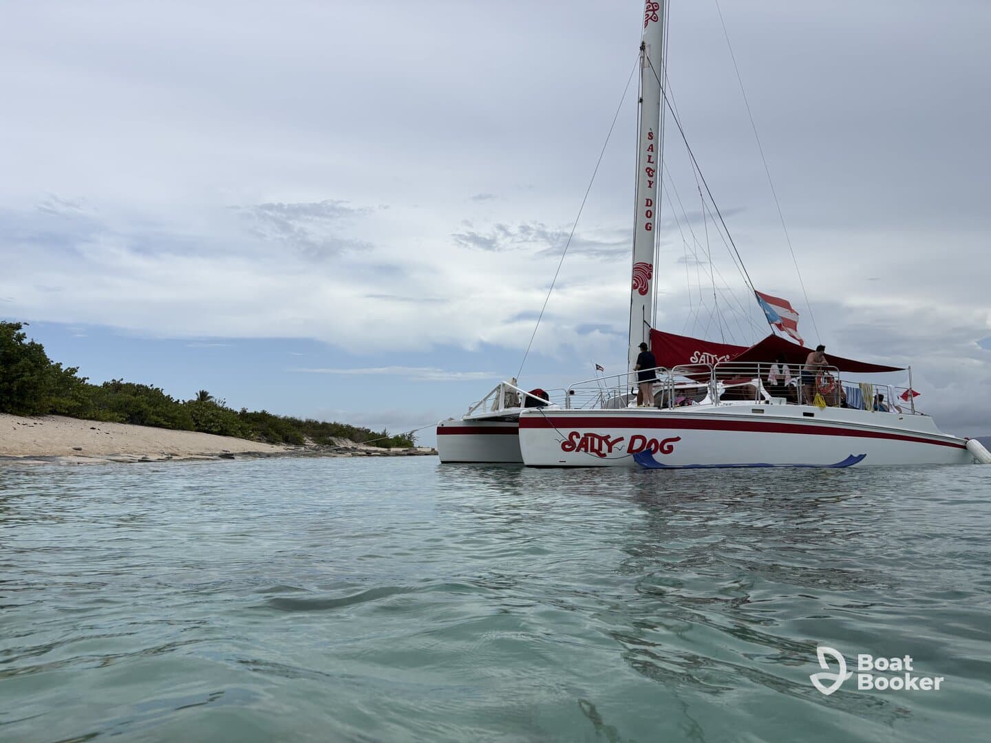 A lively catamaran named 'Sally Dog' is anchored near a sandy beach, with guests enjoying the beautiful surroundings — perfect for a day of fun on the water.