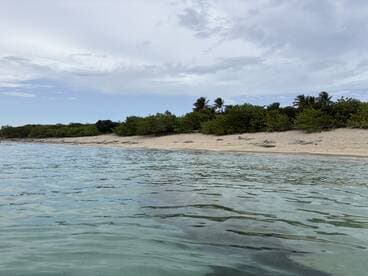 A serene view of a sandy beach lined with lush greenery, showcasing the tranquil beauty of the coastline — perfect for relaxation and exploration.