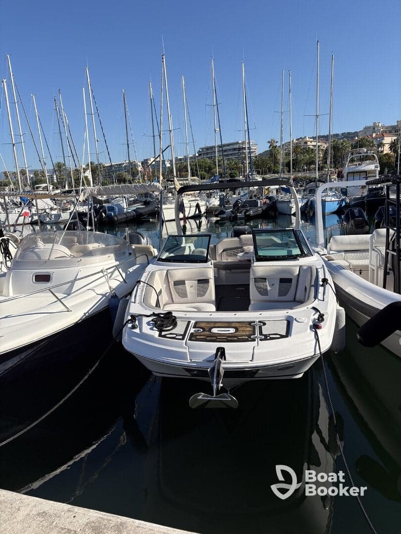 A sleek speedboat docked at a marina, surrounded by masts of sailboats, showcasing the vibrant boating scene.