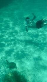 A snorkeler interacts with a turtle underwater, showcasing the beauty of marine life in crystal-clear waters — a perfect moment for wildlife enthusiasts.