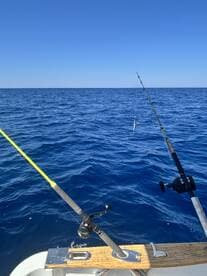 Fishing rods are set up on a boat, ready for an exciting day of deep-sea fishing in the open ocean.