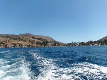 A picturesque view of a coastline with rolling hills and a harbor, showcasing the beauty of island life and perfect for scenic boat trips.