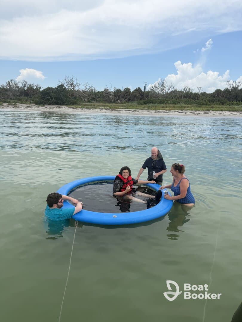 A group interacts with a dolphin in a floating pool, creating a memorable wildlife experience in a serene setting.