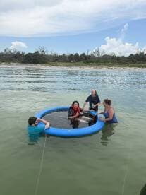 A group interacts with a dolphin in a floating pool, creating a memorable wildlife experience in a serene setting.