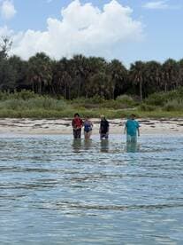A group of friends enjoys a day at the beach, wading in the shallow waters surrounded by lush greenery — perfect for a fun-filled outing.
