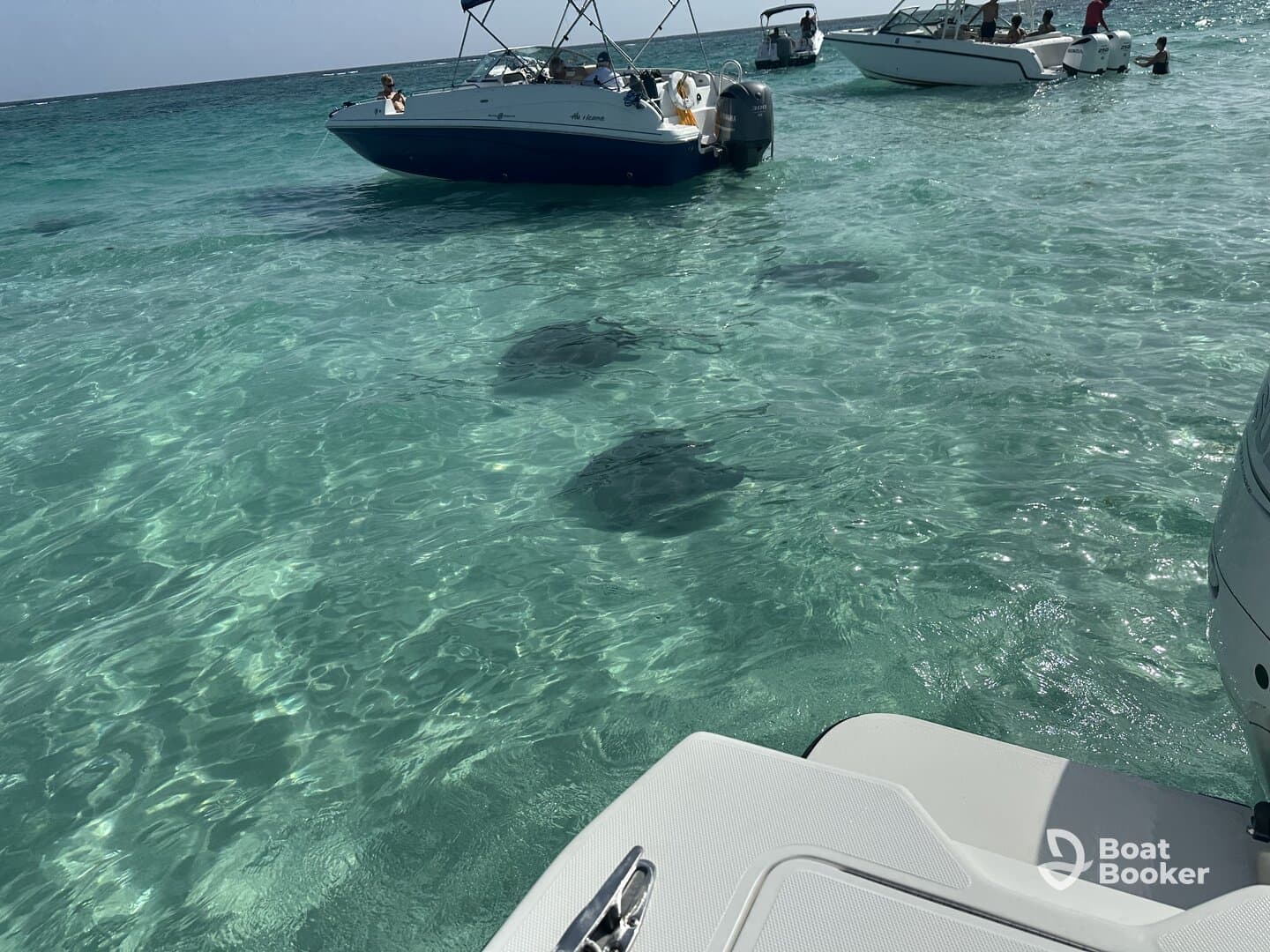 Local knowledge and great boat