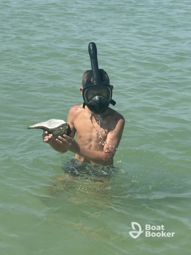 A young boy snorkels in shallow waters, holding a shell while enjoying a close encounter with marine life — a perfect moment for family adventures in nature.