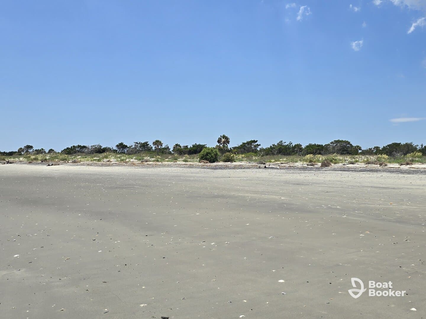 A wide shot of a beach landscape with sparse vegetation and a clear blue sky, but lacks distinct features or subjects.