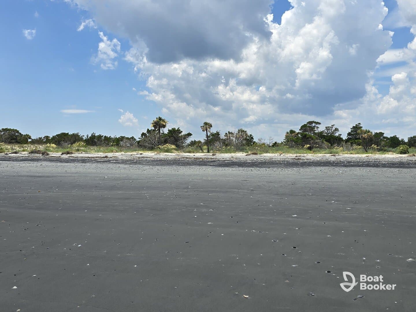 A scenic view of a beach with a cloudy sky and lush greenery in the background, capturing the natural beauty of the shoreline.
