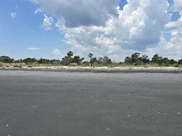 A scenic view of a beach with a cloudy sky and lush greenery in the background, capturing the natural beauty of the shoreline.
