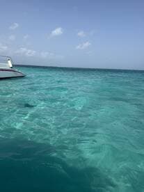 A sleek speedboat anchored in crystal-clear turquoise waters, showcasing the beauty of a perfect day on the water.