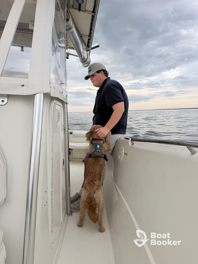 A young boy enjoys a moment with his dog aboard a boat, showcasing the joy of companionship on the water.