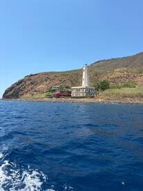 A picturesque view of a lighthouse along the coastline, surrounded by lush greenery and vibrant flowers, showcasing the beauty of the landscape from the water.