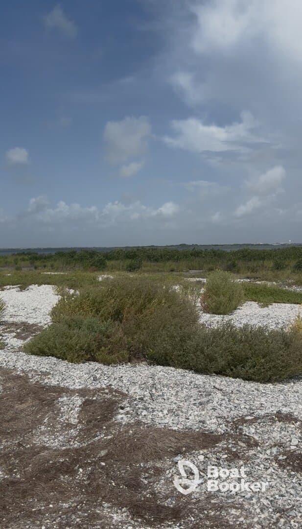 An unclear view of a natural landscape with vegetation and a cloudy sky, lacking a distinct focal point.