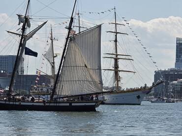 A vibrant scene featuring tall ships sailing in a marina, showcasing the beauty of maritime celebrations and the excitement of sailing events.